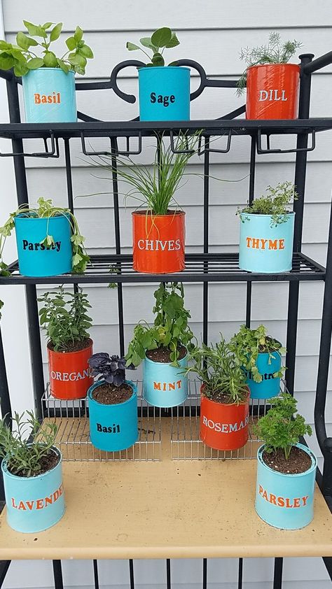 Reusing Formula Cans, Crafts Using Formula Cans, Diy Plant Pots Recycled Tin Cans, Coffee Can Flower Pots, Repurposed Formula Cans, Tin Can Herb Garden, Repurposed Formula Containers, Repurpose Formula Cans, Tin Can Crafts Diy Garden