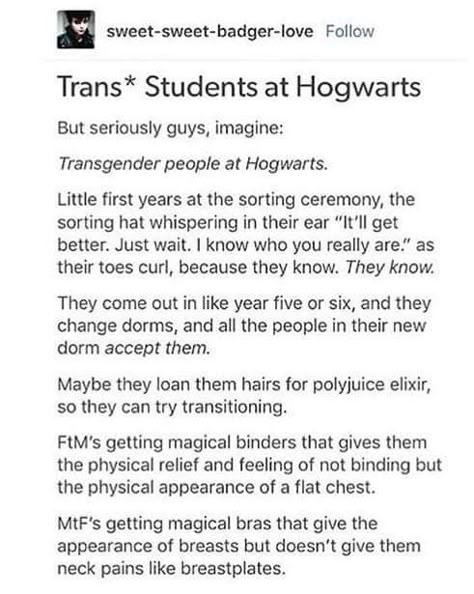 Trans Harry Potter Headcanon, Harry Otter, About Harry Potter, Gay Harry Potter, Harry Potter Comics, Harry Potter Headcannons, Harry Potter Jokes, Harry Potter Marauders, Harry Potter Quotes