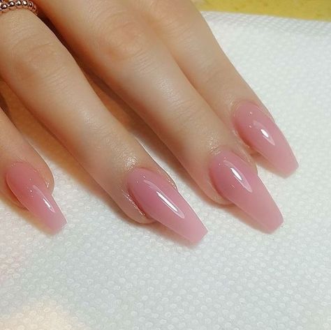 Translucent Pink Nails, Health Nails, Milky Nails, Asian Nails, Girl Nails, Soft Nails, Jelly Nails, Beauty Inspo, Pink Acrylic Nails