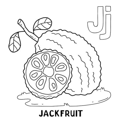 Jackfruit Drawing, Fruit Coloring, Jack Fruit, Vector Alphabet, Fruit Clipart, Fruit Cartoon, Fruits Drawing, Clipart Images, Vector Photo