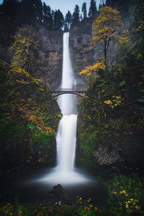 10 Most Beautiful Places in Oregon Every Nature Lover Should See Oregon Dunes, Willamette Valley, Cascade Mountains, Ancient Forest, Road Trippin, The Dunes, Sand Dunes, Most Beautiful Places, Amazing Nature