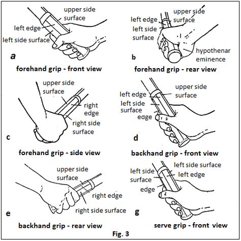 Badminton Tips, Tennis Backhand, Tennis Forehand, Beginner Tennis, Tennis Rules, Badminton Games, Tennis Lifestyle, Tennis Techniques, Tennis Serve