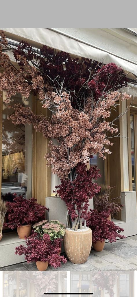 Christmas Store Front Windows Display Ideas, Fall Retail Window Displays, Fall Store Window Displays, Facade Decoration, German Decor, Autumn Window Display, Flower Shop Display, Flower Shop Decor, Flower Shop Design