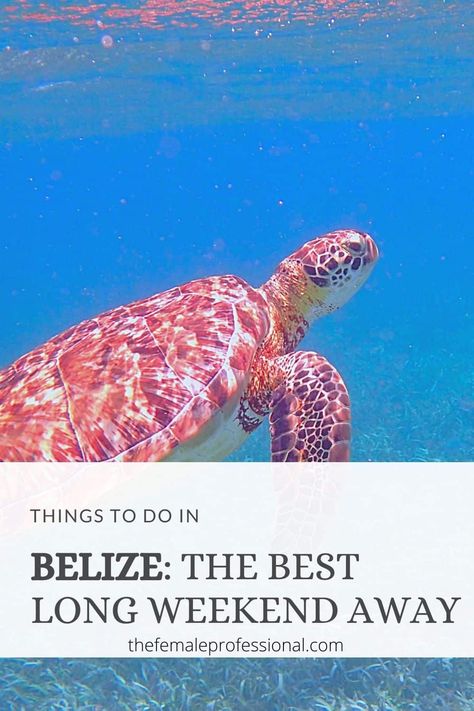 Things To Do In Belize: Your Next Favorite Getaway Things To Do In Belize, Belize Beach, Belize Resorts, Belize Vacations, Long Weekend Getaways, Belize City, Weekend Escape, Great Barrier Reef, Ocean City