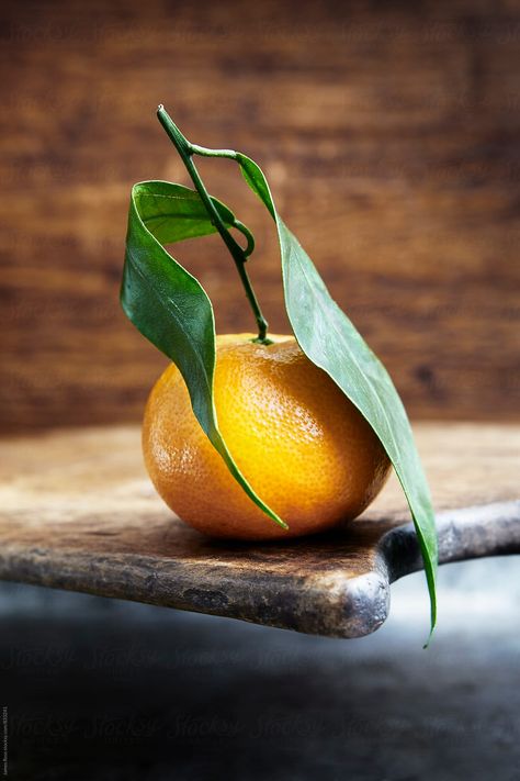 Vegetables Photography, Still Life Pictures, Fruits Photos, Still Life Images, Still Life Fruit, Fruit Photography, Still Life Photos, Still Life Drawing, Still Life Art