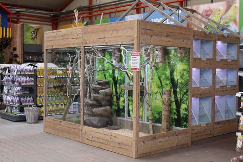 Reptile Store, Reptile Shop, Pet Store Ideas, Reptile House, Reptile Room, Rabbit Cages, Reptile Cage, Reptile Enclosure, Shop Fittings