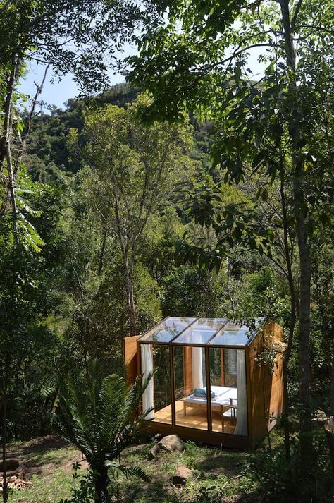 Glass Tiny House Getaway in Remote Brazilian Forest Tiny Home Layout, Cabin Decor Ideas, Tiny Home Designs, Home Layout, Glass Cabin, Tiny House Talk, Forest Cabin, Tree House Designs, Tiny Cabins