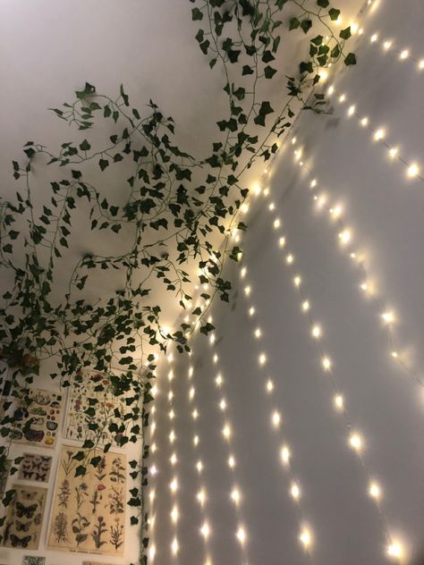 Ways To Style Vines In Your Room, Sage Green Bedroom Fairy Lights, Vines On Ceiling Bedroom With Led Lights, Hanging Vines With Lights, Vine Ceiling Bedroom Aesthetic, Fake Vines Ideas, Fake Vines And Fairy Lights Bedroom, Vines On Celling Aesthetic, Ways To Put Up Vines In Room