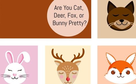 Deer Cat Fox Bunny Pretty, Disney Princess Quiz Buzzfeed, Pretty Meaning, Fox Pretty, Bunny Pretty, Deer Pretty, Princess Quiz, Bunny Makeup, Fox Makeup