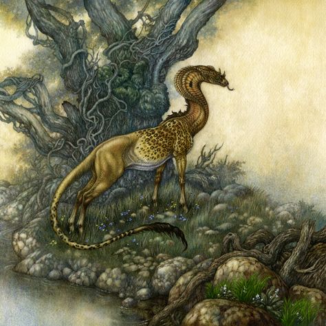 Himmapaan | The Questing Beast | Cover illustration for The Arthurian Concordance, ‘an encyclopedia of all things Arthurian’ by Phyllis Ann Karr Questing Beast, Mythical Monsters, Historia Universal, Fantasy Beasts, Mythical Beast, Mythical Creatures Art, Mythological Creatures, Creature Concept Art, Animal Sketches