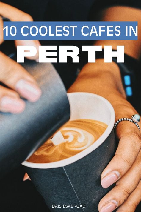 10 Of The Best Coffee Shops In Perth, Australia Alex Hotel, Creative Sandwich, Nutrient Dense Smoothie, Roasted Beans, Cardamom Buns, Kings Park, Best Coffee Shop, Perth Australia, Cool Cafe