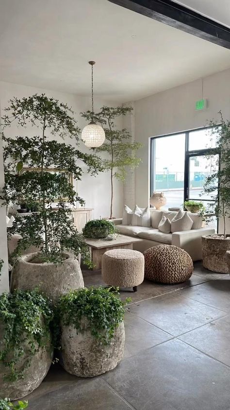 INTERIOR GREENS (@interiorgreens) • Instagram photos and videos Japandi Plant Pot, Wabi Sabi Plants, Limestone Planter, Antique Stone Sink, Rescuing Animals, Vintage Eclectic Home, Wood Bin, Stone Sinks, Wabi Sabi Interior