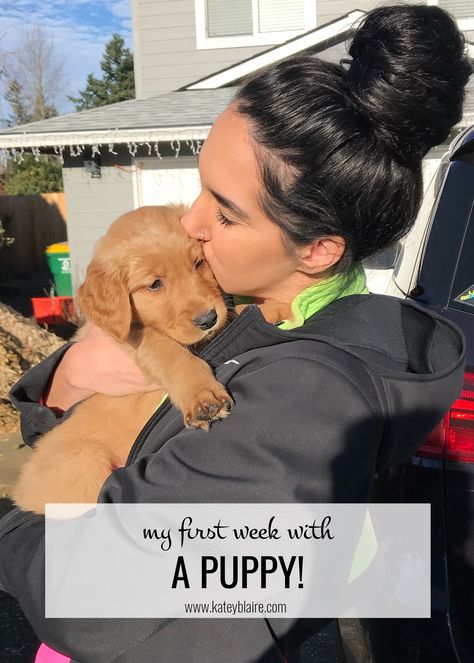 First Week With Puppy, Getting A Puppy Announcement, Puppy Schedule, Golden Retriever Training, Puppy Pens, New Puppy Checklist, Puppy Checklist, Old Golden Retriever, Puppy Pads Training