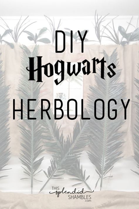 Harry Potter Herbology Printables, Harry Potter Party Herbology, Harry Potter Herbology Activities, Defense Against The Dark Arts Activities, Herbology Class Harry Potter, Herbology Harry Potter Printable, Care Of Magical Creatures Activities, Harry Potter Herbology Decor, Herbology Classroom