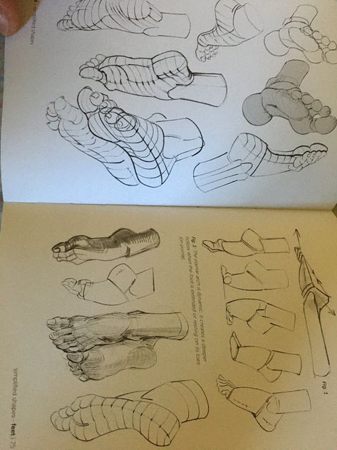 Johnathan Reyes on Twitter: "This anatomy book is insane. If you want a book that goes in depth with the functionality of the human body (along with varied examples that go along with it) this is for you https://t.co/4tJRgNpwtO" / Twitter Character Shape Design, Art Tips And Tricks, Anatomy Book, Body Reference, Anatomy Reference, The Human Body, Human Anatomy, In Depth, Drawing Poses