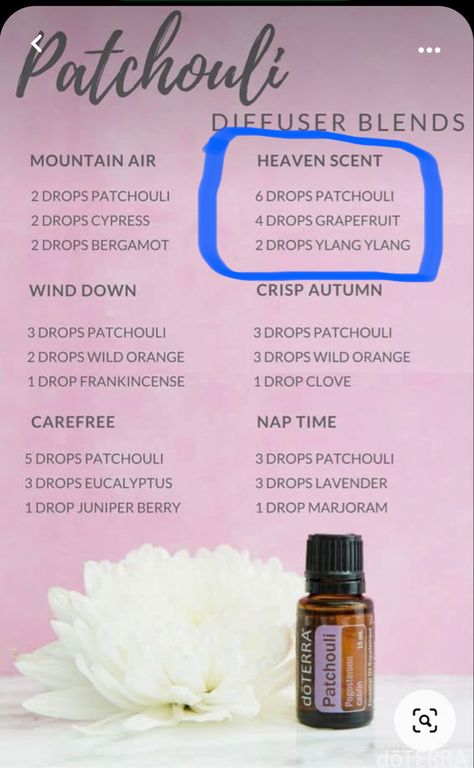 Patchouli Essential Oil Blends Perfume Recipes, Essential Oil Blends With Patchouli, Pheromone Perfume Diy, Aphrodisiac Diffuser Blends, Patchouli Spiritual Meaning, Bergamot Patchouli Diffuser Blend, Essential Oil Blends Roller, Essential Oil Perfume Blends, Essential Oil Perfumes Recipes