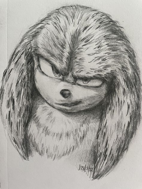 Sonic Drawing Pencil, How To Draw A Hedgehog, Knuckles Drawing, Hedgehog Drawings, Sonic Core, Sonic Drawing, Hedgehog Drawing, Knuckles The Echidna, Sonic Dash