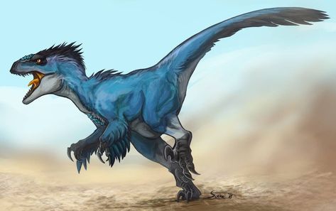 Feathered Raptor, Jurassic Park Characters, Feathered Dinosaurs, Raptor Dinosaur, Dinosaur Illustration, Prehistoric World, Jurassic World Dinosaurs, Ark Survival Evolved, Prehistoric Art