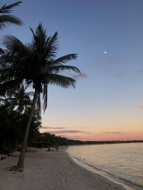 Talum Mexico, Pink And Yellow Sunset, Moon Over Ocean, Beach And Palm Trees, Sunset On Beach, Water Moon, Ocean At Sunset, Beach With Palm Trees, Yellow Sunset