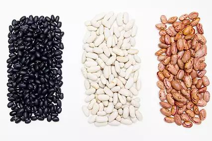 Adzuki Bean Recipe, Lima Bean Recipes, Cannellini Beans Recipes, Cranberry Beans, Vegan Protein Sources, Kinds Of Beans, Types Of Beans, Seasoning And Spice, Northern Beans