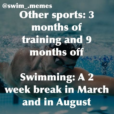 Swim Memes Truths, Swim Motivation, Teach Kids To Swim, Swimmer Girl, Swimming Jokes, Swimming Drills, Swimmer Girl Problems, Swim Sport, Swimming Funny