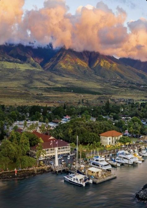 Lahaina Harbor ~ maybe too soon for this memory though   : ( Lahaina Hawaii, Travel Needs, Lahaina Maui, Hawaii Pictures, Aloha Hawaii, Bucket List Destinations, Too Soon, Hawaiian Islands, Maui Hawaii