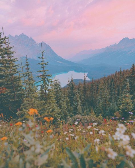 Mountain Vision Board Pictures, Vision Board Pictures Mountains, Mountains And Wildflowers, Montana Vision Board, Lakes And Mountains, Mountain Country Aesthetic, Mountain Vision Board, Rocky Mountain National Park Aesthetic, Rocky Mountain Aesthetic