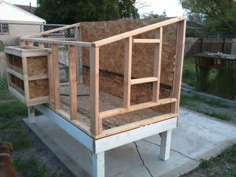 really like this coop.  would do the roosts different.  only need three nest boxes.  swing out door on side for easy cleaning. Pallet Backyard, Coop Layout, Everything Chicken, Reban Ayam, Chicken Coop Pallets, Urban Chicken Farming, Oasis Backyard, Gardening Backyard, Nest Boxes