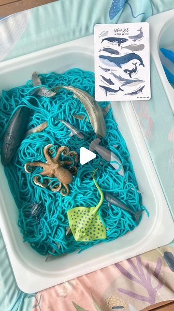 Emma on Instagram: "This has to be one of our favourite ways to use our large Seaworld Fun Scarf…a liner to theme our Flisat Table as an Ocean 🐳 🦈 🐋 🐠 @funsquare_aus   Did you know it’s National Spaghetti Day today? I thought I’d use up an old spaghetti packet for some sensory fun!   Have you used spaghetti in your play before? I’d love to know how you’ve used it in play!   I saw these tips from other accounts to stop dyed spaghetti staining little fingers so I thought I’d pass it on here too 💙   -Add the food colouring while boiling the spaghetti in the pot and then rinse the spaghetti really well when draining. This actually worked!!  Not only did it keep the colour of our spaghetti a vibrant blue but it prevented the kids hands and our silk from getting blue dye on them. If any blu Ocean Sensory Table, Spaghetti Sensory Play, National Spaghetti Day, Edible Sensory Play, Messy Play Activities, Flisat Table, Sensory Tray, Summer Themes, Mud Pies