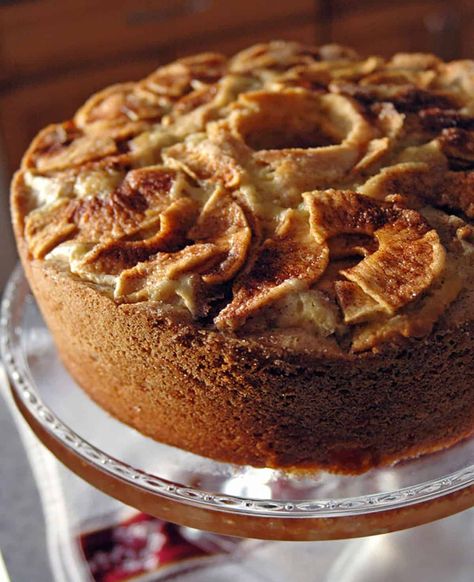 Best Jewish Apple Cake Recipe, Jewish Apple Cake, Apple Cake Recipe Easy, Moist Pound Cake, Apple Cake Recipe, Apple Cake Recipes, Jewish Recipes, Pound Cake Recipes, Apple Desserts