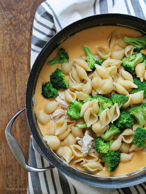 Chicken and Broccoli Shells and Cheese - Creamy homemade shells and cheese made with chicken and broccoli. Everyone loves this easy weeknight meal! Chicken And Broccoli Shells, Broccoli Shells And Cheese, Best Broccoli Recipe, Shells And Cheese, Cheap Family Dinners, Cheese Stuffed Shells, Chicken And Broccoli, Cheap Dinners, Broccoli Recipes