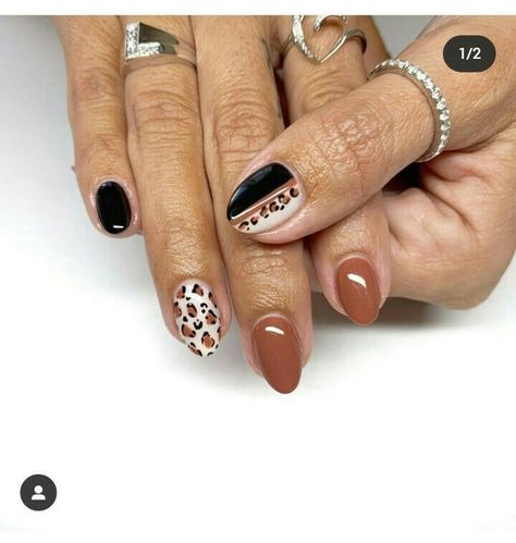 Short Almond Nails Fall Colors 2023, November Nails With Design, Fall Manicure Ideas 2024, Fall Colorful Nails, Trending Fall Nails 2024, Cheetah Pumpkin Nails, Fall Cheetah Nails Almond, Thanks Giving Nails Ideas, Short Builder Gel Nails Design