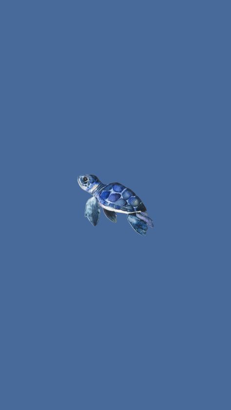 Turtle #fyp #trend #trending #shuffle #viralshuffle #follow #turtle #turtles #blue #blueaesthetic #aesthetic #beach Wallpaper Backgrounds Turtles, Wallpaper Backgrounds Beach Aesthetic, Blue Mac Wallpaper Aesthetic, Ipad Wallpaper Teal, Blue Animals Aesthetic, Cute Blue Pictures, Aesthetic Ipad Homescreen Layout Blue, Blue Beach Widgets, Idc Aesthetic Wallpapers