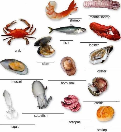 Learn useful English vocabulary for meat, poultry and seafood ... Esl Vocabulary, English Vocab, English Resources, English Language Teaching, English Activities, English Tips, English Idioms, Grammar And Vocabulary, Learn English Vocabulary