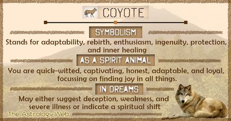 Coyote meaning and symbolism, coyote as a spirit animal, what does it mean to dream about a coyote Coyote Meaning, Coyote Spirit Animal, Coyote Symbolism, Animal Prayers, Coyote Tracks, Animal Totem Spirit Guides, Coyote Animal, Spirit Animal Meaning, Animal Meanings