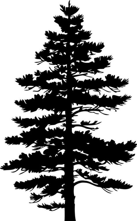 Pine tree silhouette isolated on white background. Vector Illustration. Pine Tree Stencils Printables Free, Pine Tree Outline, Treeline Silhouette, Pine Illustration, Pine Tree Background, Pine Silhouette, Pine Tree Drawing, Pine Tree Silhouette, Tree Outline