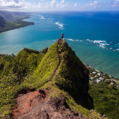 Kalen Emsley on Instagram: “This is one of the best views I've ever seen of the ocean! @brookewillson standing at the top of the the Crouching Lion hike in Oahu.” Oahu Hikes, Hawaii Hikes, Oahu Travel, Beautiful Hikes, Aloha Hawaii, Ordinary People, Go Hiking, Oahu Hawaii, The Unexpected