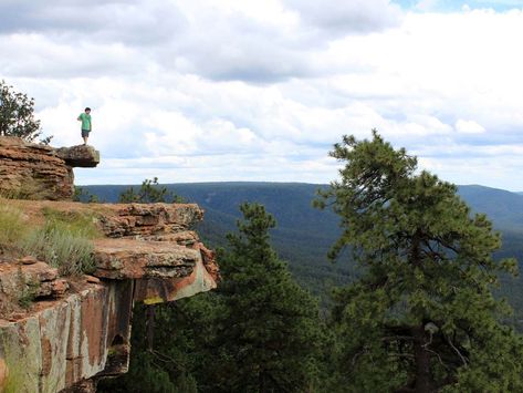 Mogollon Rim Hikes, AZ: Payson area & surrounding Arizona Day Trips, Mogollon Rim, Hikes In Arizona, Southwest Travel, Arizona Adventure, Payson Az, Waterfall Trail, Arizona Road Trip, Arizona Hiking