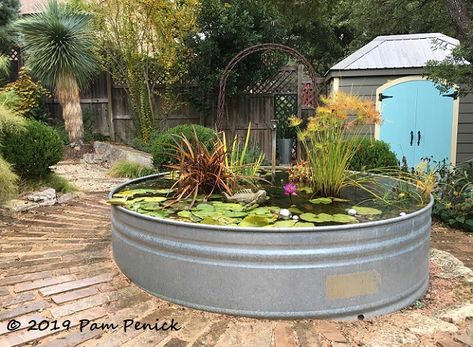 Stock Tank Pond Waterfall, Galvanized Fish Pond, Stock Tank Pond Ideas Water Garden, Stock Tank Fish Pond Ideas, Stock Tank Water Garden, Stock Tank Planters, Stock Tank Water Feature, Water Trough Pond, Stock Tank Duck Pond