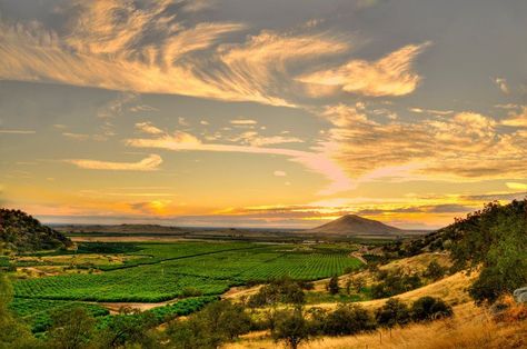 Central California Valley Central Valley California, San Joaquin Valley, Valley Landscape, Central California, Central Valley, Beautiful Sites, California Dreamin', California Dreaming, Morning Pictures