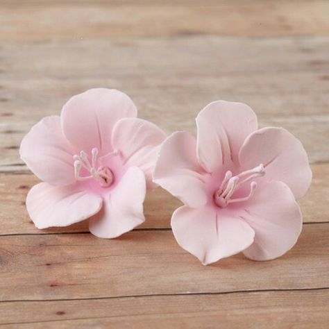 Fruit Blossoms, Beach Theme Candles, Gum Paste Flowers Tutorials, Fondant Flower Tutorial, Cake Decorating With Fondant, Cake Decorating Piping, Gum Paste Flowers, Fondant Tutorial, Fondant Flowers