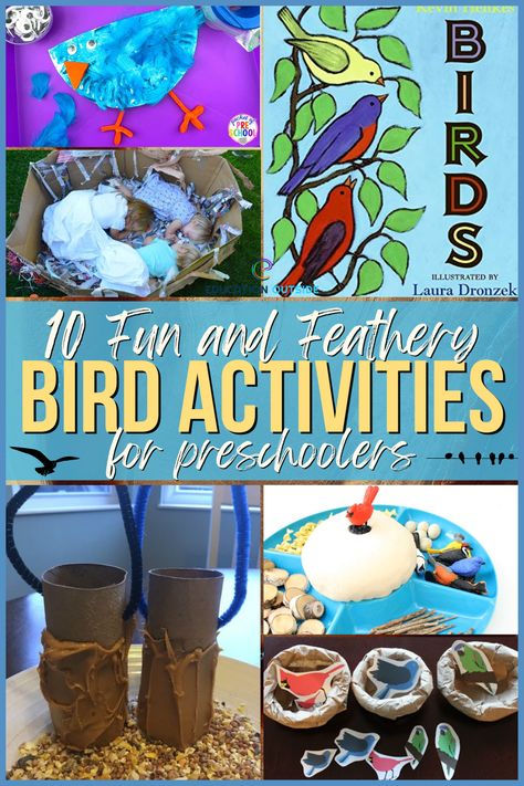 Watching birds in your backyard or nearby park is also a great way to spend quality time together while learning about these amazing creatures. And what could be more fun than making a sensory bin filled with bird nests and eggs? Your child will love exploring all the different textures and colors. Birds Preschool, Bird Activities, Homeschool Units, Pre K Worksheets, Bird Beaks, Bird Nests, Activities For Preschool, Bird Book, Bird Eggs