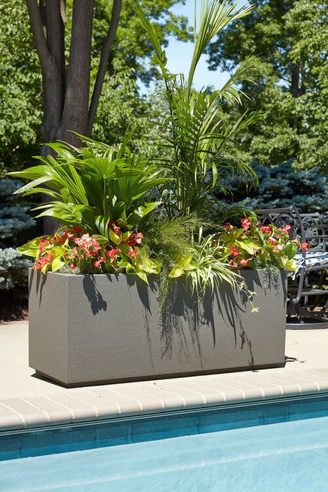 Large Planters Outdoor Full Sun, Pool Planter Boxes, Pool Side Potted Plants, Planters In Landscaping, Pool Side Plants, Tropical Planter Ideas, Patio Planter Ideas Plant Pots, Planters Around Pool, Pool Planters