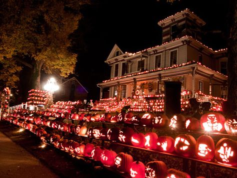 The Pumpkin House in West Virginia No Carve Pumpkin Decorating, Pumpkin House, Virginia Homes, Fun Halloween Decor, Halloween Displays, Halloween Event, Up Halloween, Halloween Festival, Halloween Celebration