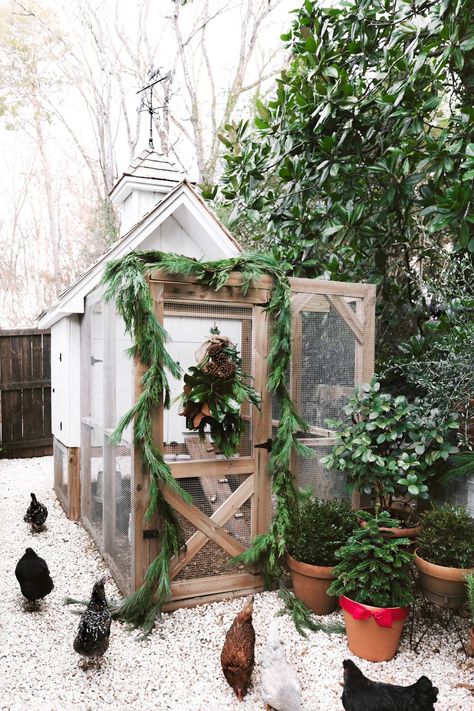 Chicken Coop Winter, Farmhouse Chicken Coop, Cute Chicken Coops, Coop Design, Chicken Garden, Coop Plans, Christmas Window Decorations, Chicken Coop Plans, Backyard Chicken Coops