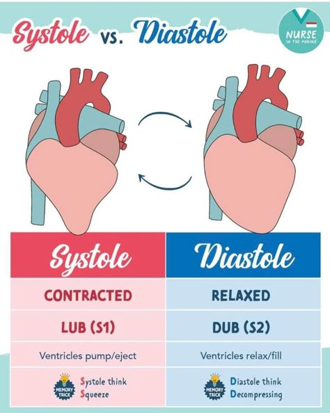 Systole And Diastole, Advanced Emt, Lpn School, Pediatric Cardiology, Nursing Math, Respiratory Therapy Student, Cardiac Cycle, Nursing School Inspiration, Nurse Study