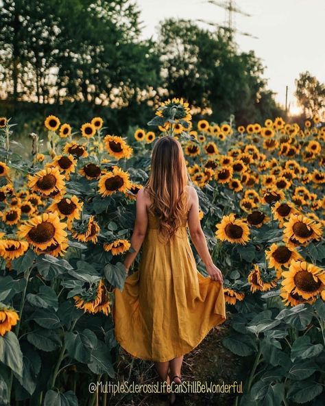 "A sunflower field is like a sky with a thousand suns."  -Corina Abdulahm-Negura Sunflower Field Photography, Sunflower Field Pictures, Field Of Sunflowers, Sunflower Photography, Sunflower Photo, Sunflower Pictures, Shotting Photo, Sunflower Wallpaper, Sunflower Field