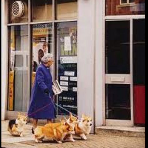 Two Corgis, Corgi Mix, Elisabeth Ii, Queen Of England, Our Relationship, British Monarchy, Her Majesty The Queen, Pembroke Welsh Corgi, Save The Queen