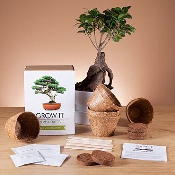 Gardening Gifts & Gardening Gift Ideas - Buy from Prezzybox.com #GardeningGiftIdeas affiliate Bonsai Kit, Diy Gifts For Men, Valentine Gifts For Husband, Painted Wine Bottles, Presents For Girls, Miniature Trees, Diy Gifts For Boyfriend, Valentines Gifts For Him, Diy Valentines Gifts