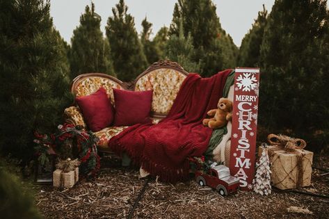 Michelle C.Smith Photography on Instagram: “Vintage couch 🛋 minis with snow machine this Sunday, Dec 1st. $239 mini. 20 mins and 10 images. Pay 💰 in full and get 5 free images 📸…” Couch Christmas Mini Session, Antique Couch Photoshoot, Santa Minis Photography, Santa Picture Set Up, Christmas Couch Photoshoot, Christmas Couch Mini Sessions, Vintage Couch Photoshoot, Christmas Set Up Photography, Christmas Minis Photography